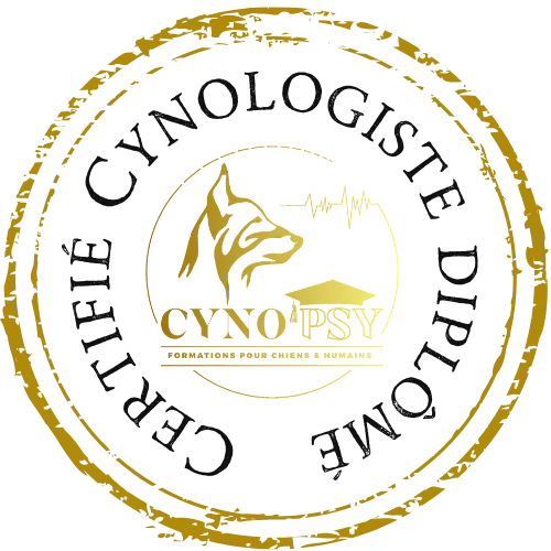 Certification Diplome Noir