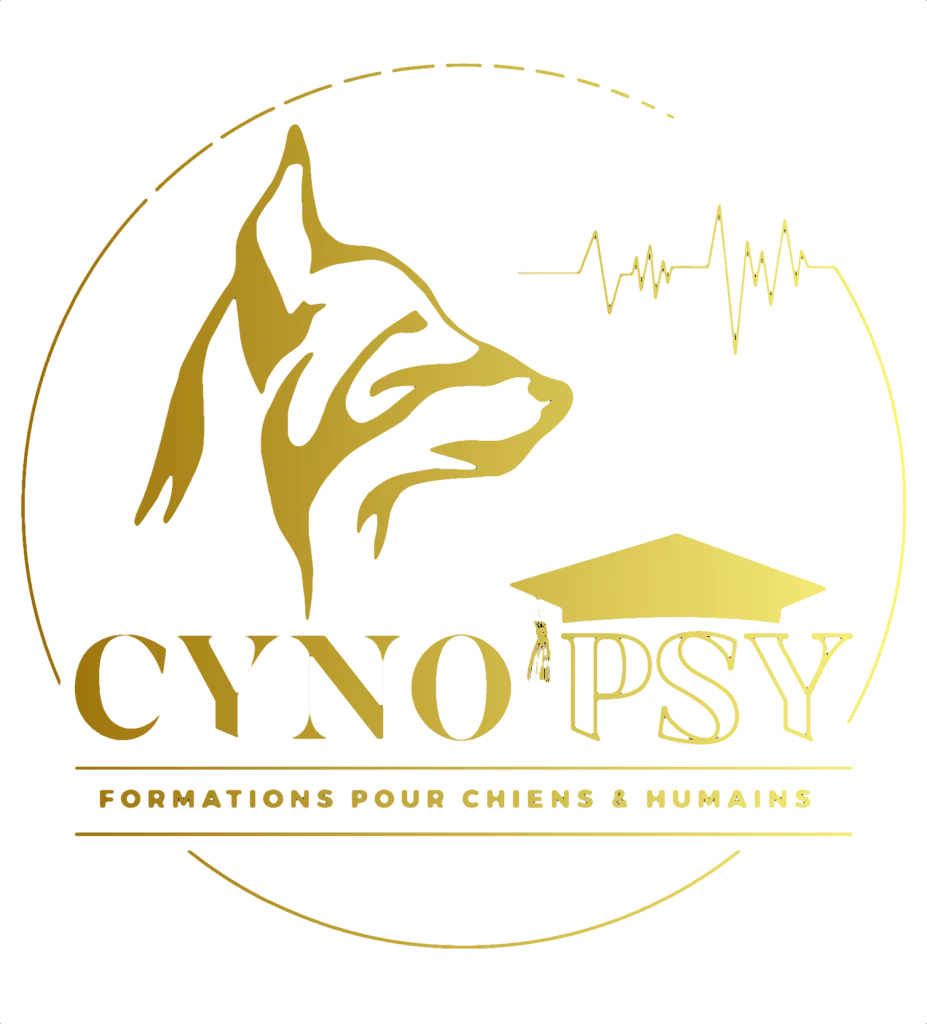 Logo Dore Noir 606ca309913d1