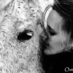 10802002 356702161171798 7779233878495423089 N