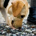 Christian Lue 5bAIYHYaFAw Unsplash