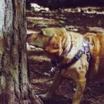 Jack Hunter FmuyrvUb7zY Unsplash 1