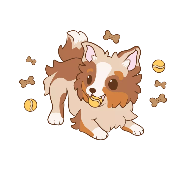 Pas Bete La Truffe Accueil 1