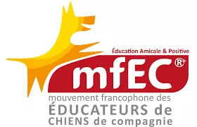 LOGO MFEC