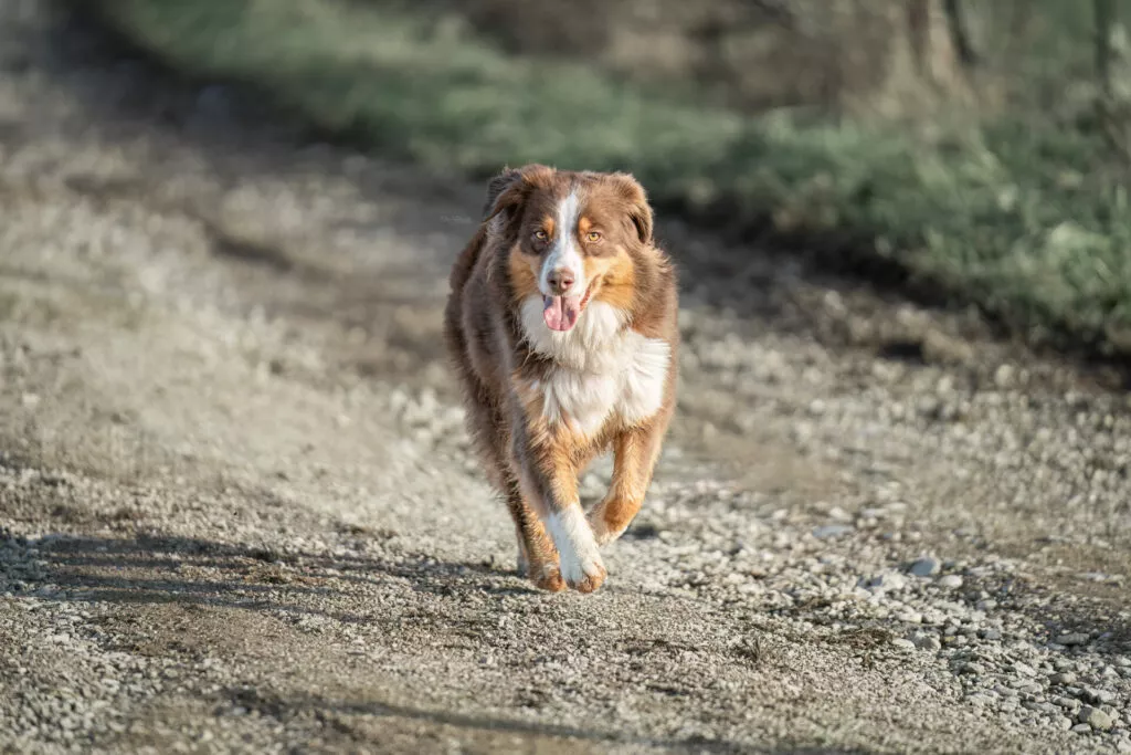 DSC9326 Modifier Modifier