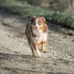 DSC9326 Modifier Modifier