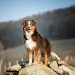 DSC9554 Modifier Modifier